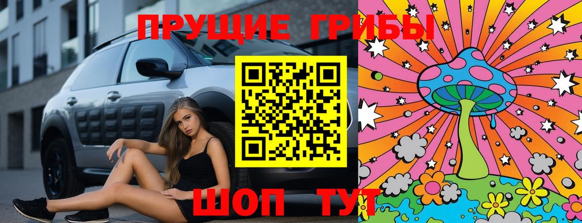 Псилоцибиновые грибы прущие грибы  Вход с VPN  магазин продажи наркотиков  Псилоцибиновые грибы Psilocybine cubensis  Петропавловск-Камчатский 